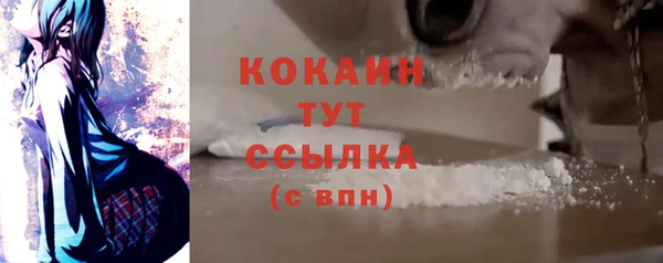 дживик Богородицк