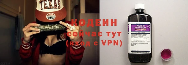 дживик Богородицк