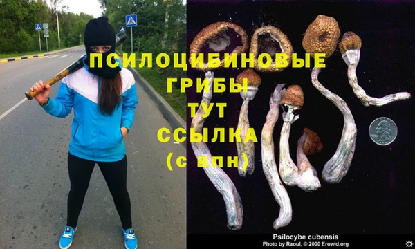 трава Богданович