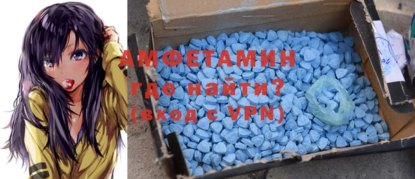 дживик Богородицк
