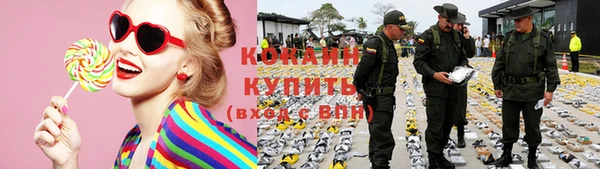 дживик Богородицк