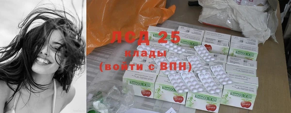 дживик Богородицк